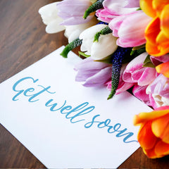 Collection image for: Get Well Soon Gifts