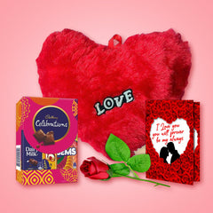 Collection image for: Hug Day Gift for Him/Her