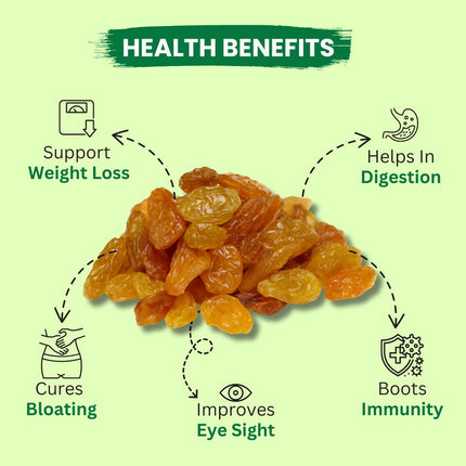 Natural Premium Golden Raisin/kishmish Raisins  (550 g) - Midiron